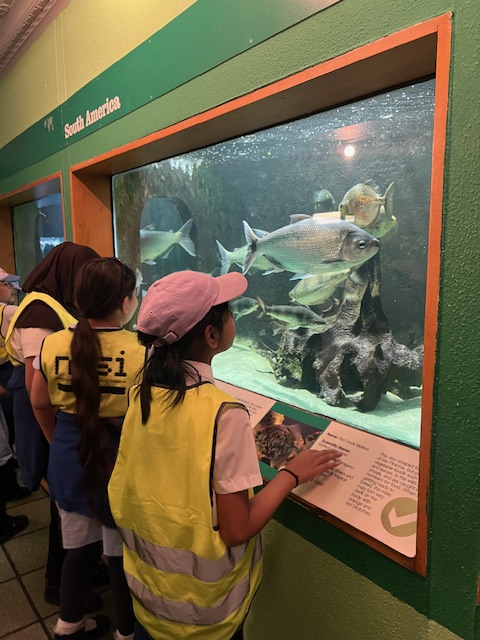 pikes-lane.bolton.sch.uk tweet media