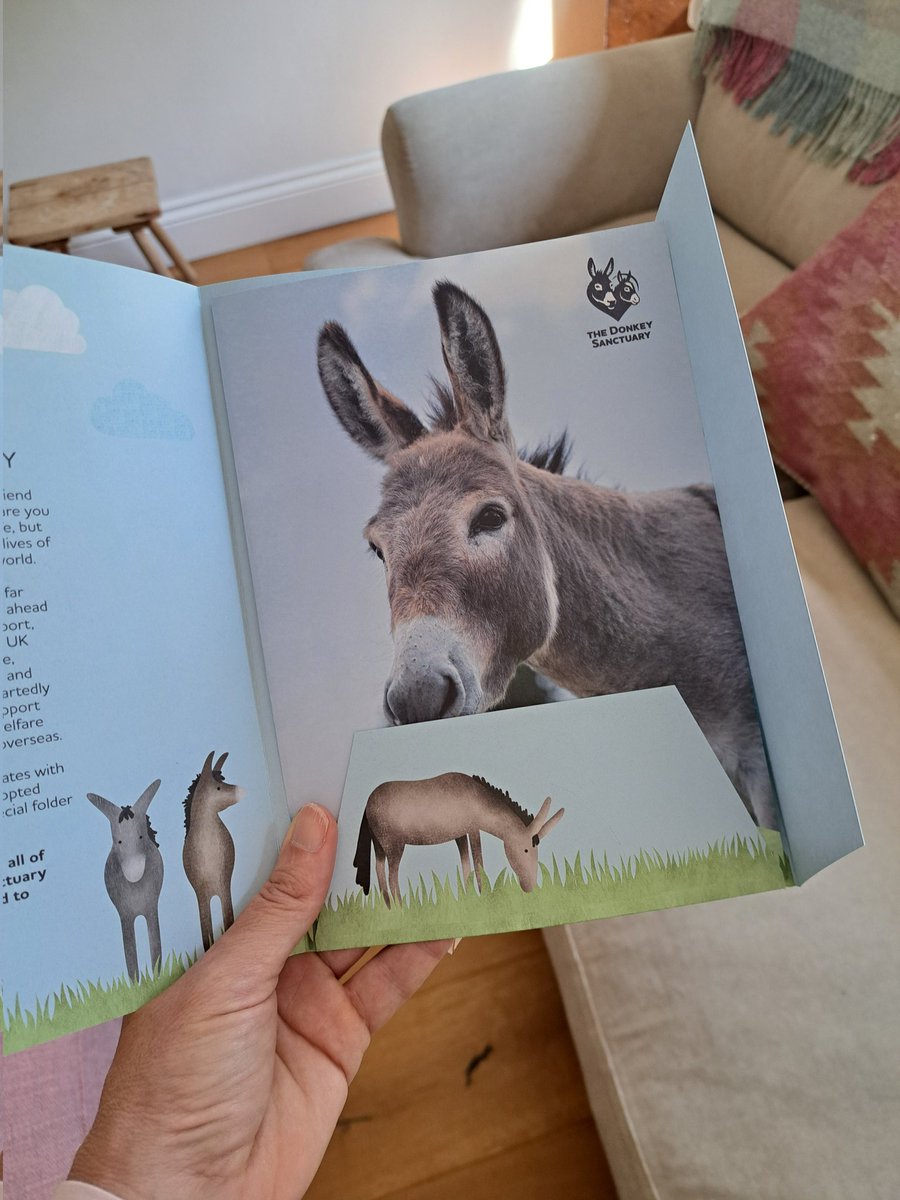 Cottontails Baby (@cottontailsbaby) on Twitter photo Update from my adopted donkey Peanut - apparently he is growing in confidence and loves polo mints ππ« Hoping to go and visit him very soon <a href="/AdoptADonkey/">Adopt A Donkey</a> Update from my adopted donkey Peanut - apparently he is growing in confidence and loves polo mints ππ« Hoping to go and visit him very soon <a href="/AdoptADonkey/">Adopt A Donkey</a>