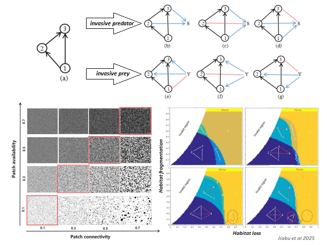 CommunityEcol's tweet image. ๐ฐNew paper!
๐ The success of invasive species depends on their trophic role as well as the fragmentation and loss of habitat in omnivorous food webs
๐ link.springer.com/article/10.100โฆ
#invasivespecies #habitatloss #habitatFragmentation #ecologyresearch #foodwebs