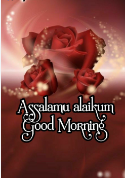 ice_nadia's tweet photo. As-Salamu Alaikum Everyone. This Is Nadia From Jordan. It Is My First Tweet.. https://t.co/fAZ72Axsxt