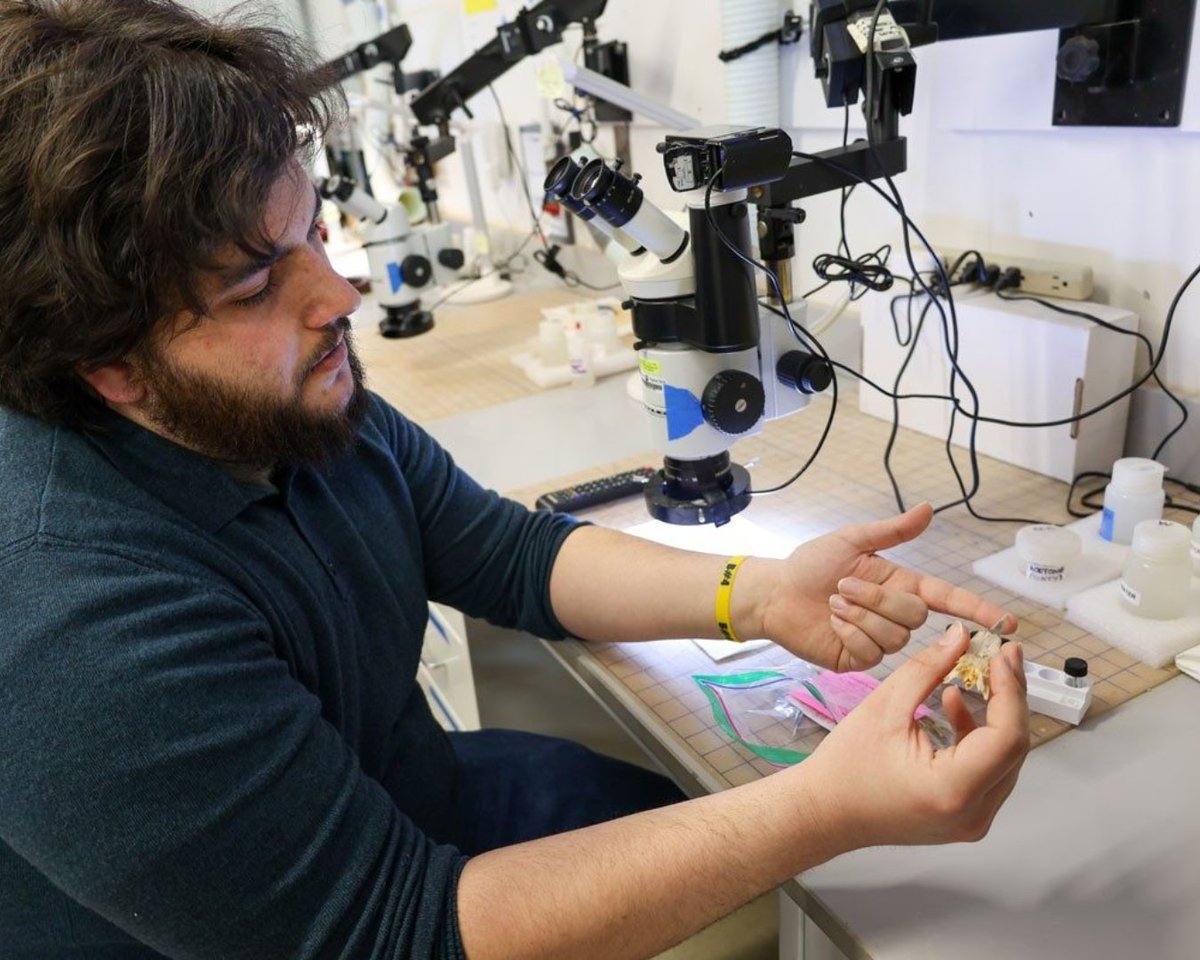 Virginia Tech Science (@vt_science) on Twitter photo Fishtory repeats itself. New fossil evidence from <a href="/vtgeosciences/">Geosciences at VT</a> shows how different species of predatory fish independently evolved similar jaw structure millions of years apart. Come hear more about this research on 5/8 <a href="/vt_innovation/">VT innovation campus</a> RSVP: brnw.ch/21wSrT1 Fishtory repeats itself. New fossil evidence from <a href="/vtgeosciences/">Geosciences at VT</a> shows how different species of predatory fish independently evolved similar jaw structure millions of years apart. Come hear more about this research on 5/8 <a href="/vt_innovation/">VT innovation campus</a> RSVP: brnw.ch/21wSrT1