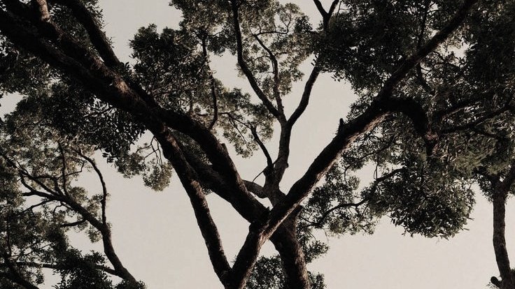 Face pretty, soul prettiest.