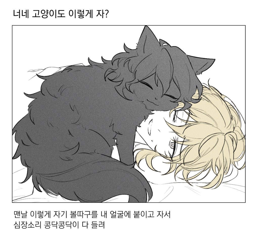 y00n_4's tweet photo. 레이카오 짤패러디 https://t.co/7852aau7n2