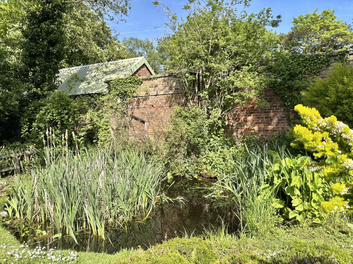 JuliaPovall's tweet photo. Beautiful in the walled garden at Royden Park this afternoon, though Golden Boy had to stay outside with his dad #wirralwanderings #roydenpark #wonderfulwirral #lifewithacockerspaniel #theresnoplacelikehome https://t.co/HGzy1H2VrJ