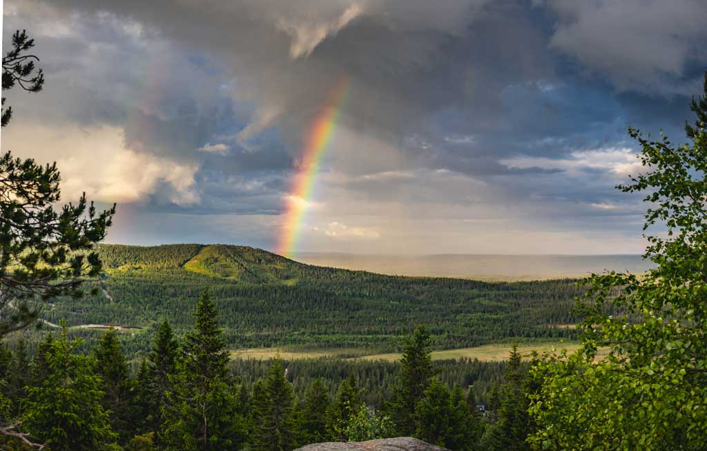 nutsfi's tweet image. NUTS Syöte vielä muutaman päivän edukkaammin mukaan! - mailchi.mp/nuts/psiisterv…