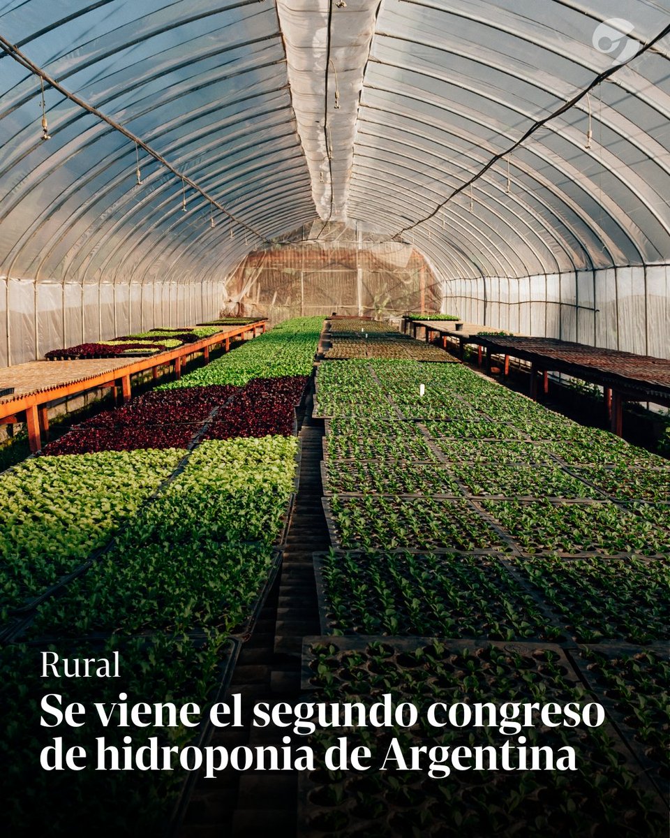 clarincom's tweet photo. 🌱 Los próximos 22 y 23 de mayo en la Universidad Nacional de Córdoba se llevará a cabo el “2° Congreso de Hidroponía de Argentina”, organizado por la Asociación Civil Hidropónica Argentina con el objetivo de facilitar el acceso a conocimiento valioso sobre la técnica, la tecnología e innovación disponible en Argentina para el cultivo hidropónico.
Más información: https://t.co/CS4s45G68s