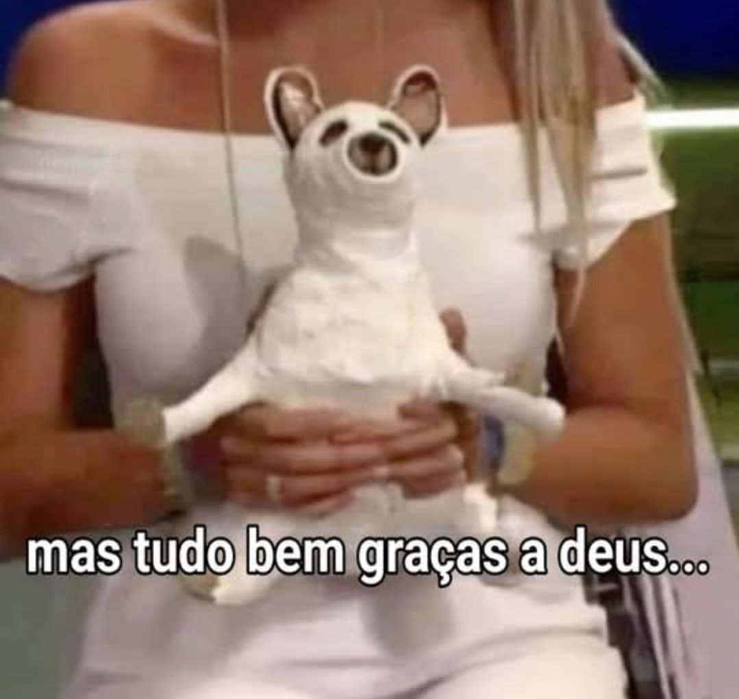 meltedvideos's tweet image. 