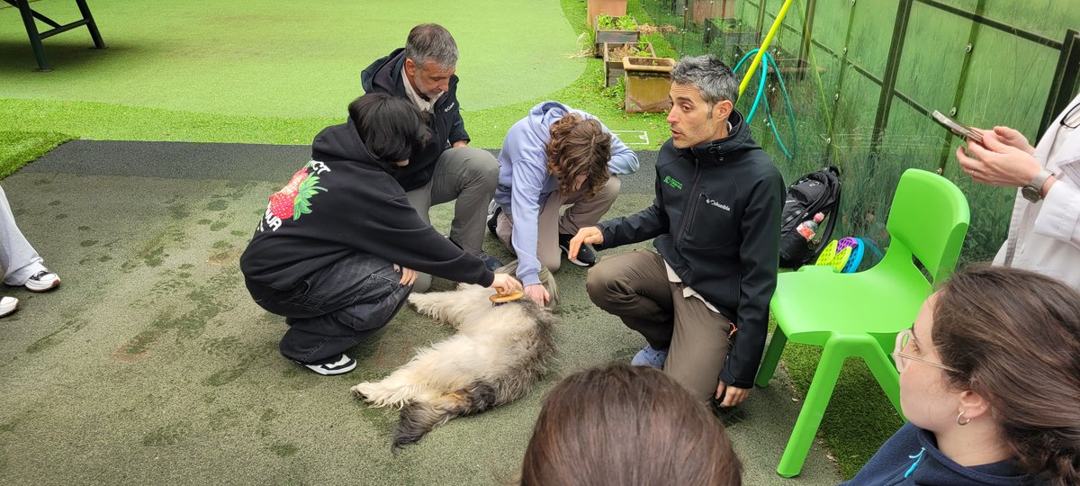 🐾 ¡Hoy hemos tenido una visita muy especial!

Los peques ingresados en Hematología, Pediatría y del Hospital de Día Infanto-Juvenil han pasado un rato genial con Cira, una perra muy cariñosa que ha venido junto al Aula Medioambiental del <a href="/PCabarceno/">Parque de Cabárceno</a>🐶

🔗 humv.es/2025/05/06/val…
