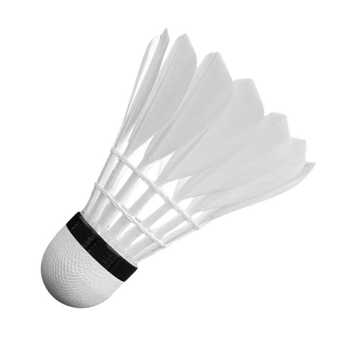 DK🇺🇸🦅🇺🇸 tweet media