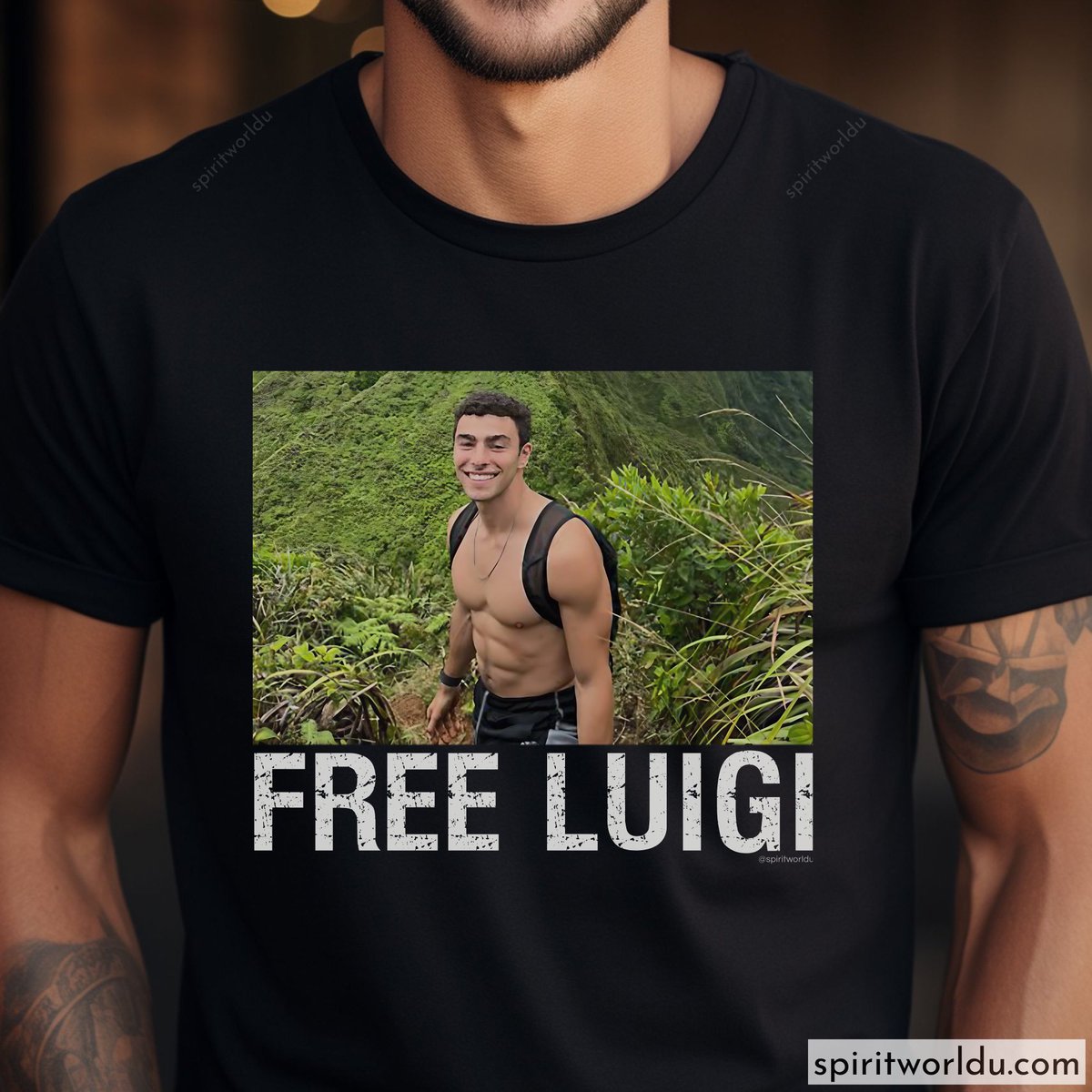 basedpoint0's tweet image. Saint Luigi, pray for us

spiritworldu.com/category/luigi