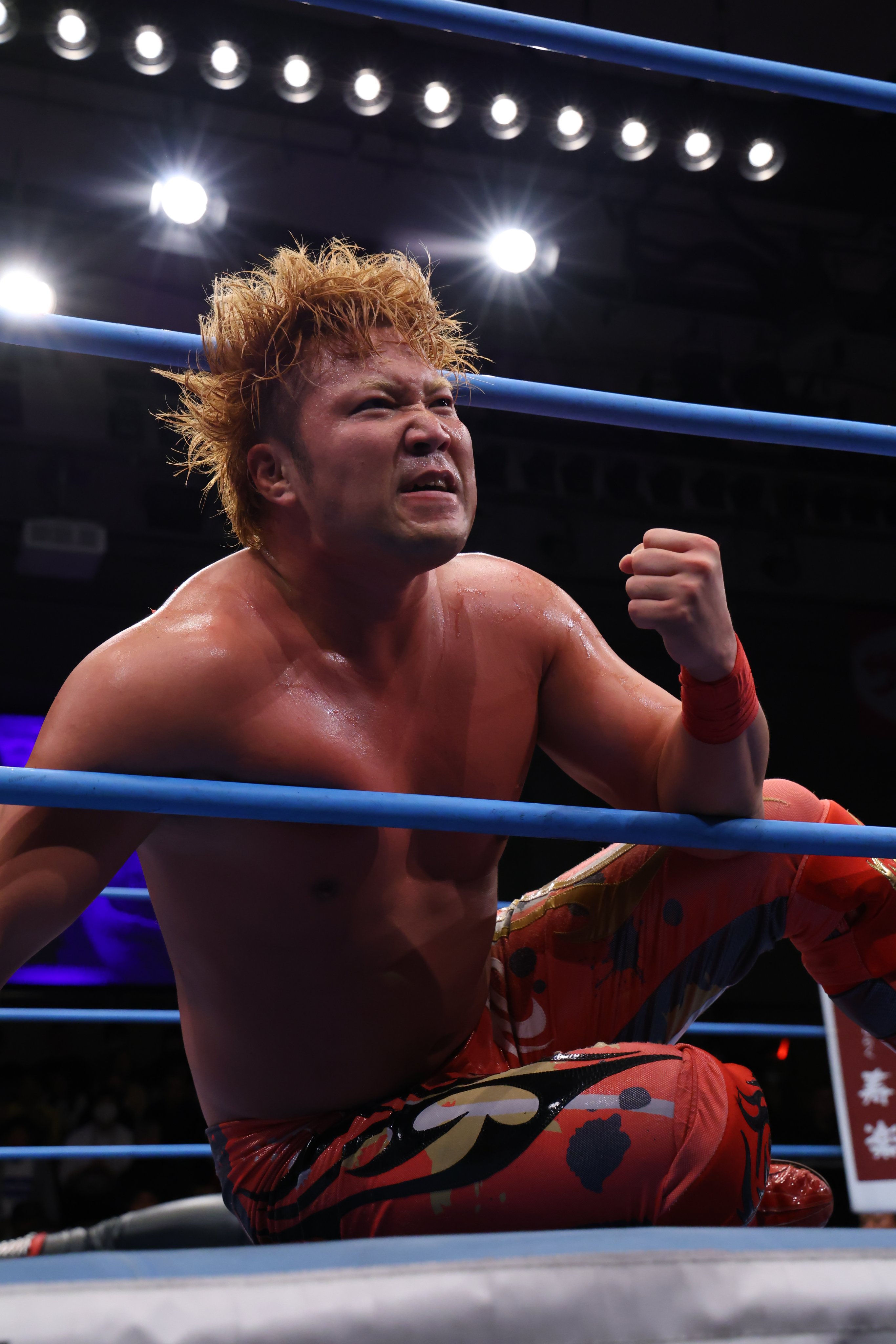 全日本プロレス/alljapan on X: 