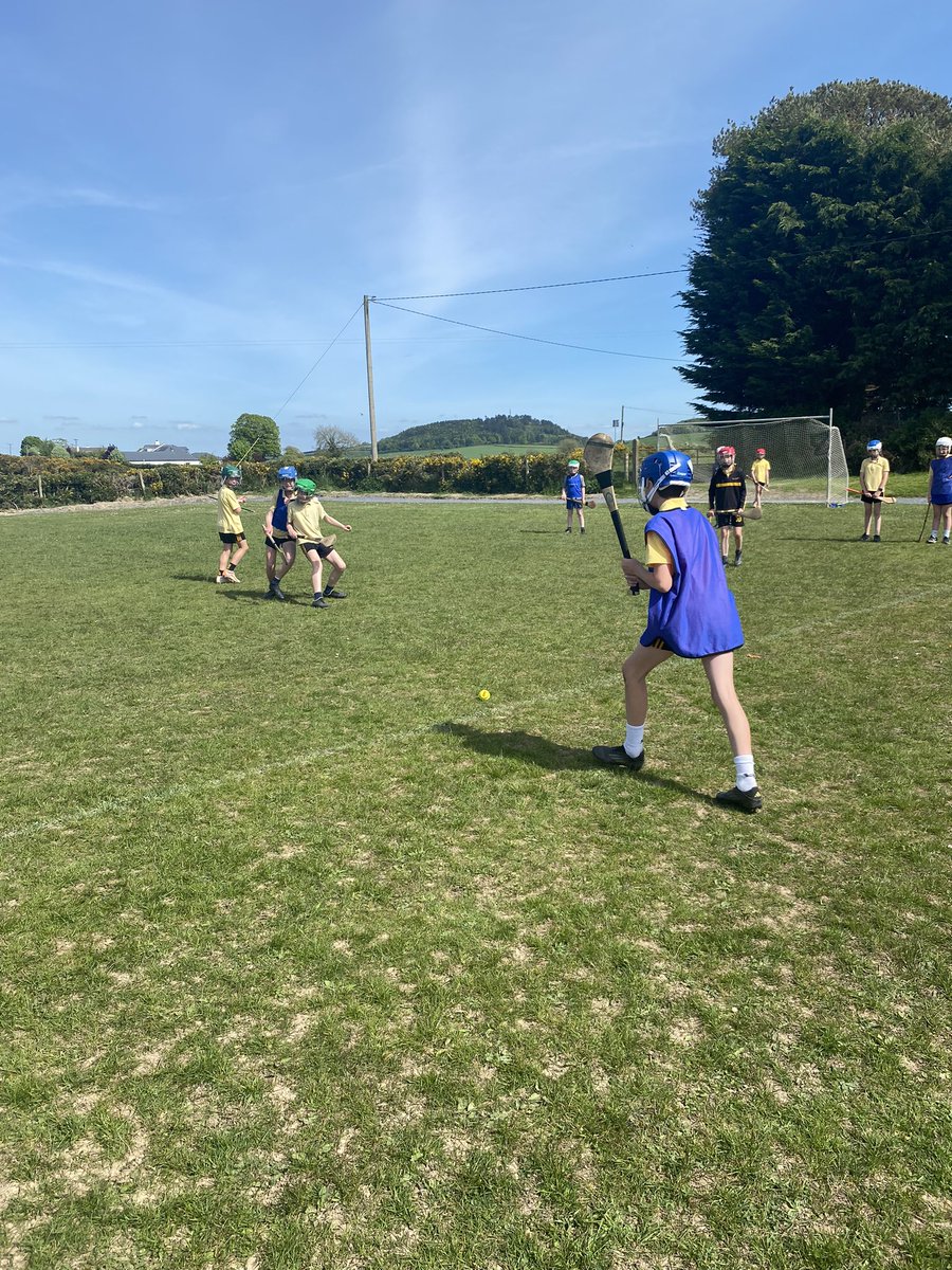 Ciara Kavanagh tweet media
