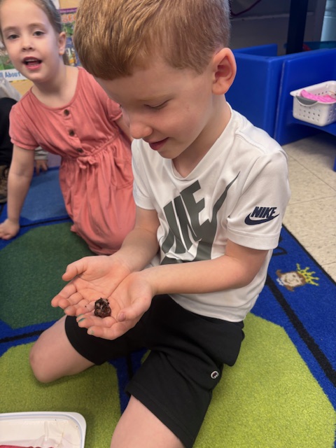 CELC students in Miss Dolan and Miss Colleen’s class made a worm garden and learned about what these little creatures do for the Earth. Students took turns holding the worms and placing food items in the compost. Later, the class will be setting the worms free! 

#WeAreChardon