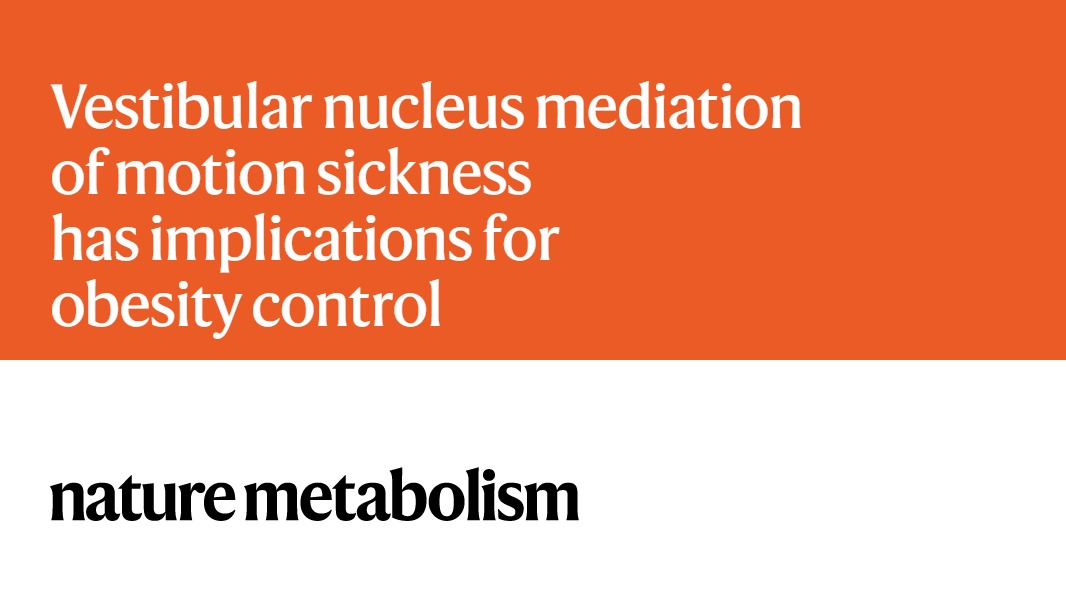 Nature Metabolism (@natmetabolism) on Twitter photo RESEARCH BRIEFING | <a href="/longlong_tu/">Longlong (Lucas) Tu</a>, <a href="/DrYongXu1/">Dr. Yong Xu</a> et al. (<a href="/bcmhouston/">BCMHouston</a>):
Vestibular nucleus mediation of motion sickness has implications for #obesity control 🧠
nature.com/articles/s4225… RESEARCH BRIEFING | <a href="/longlong_tu/">Longlong (Lucas) Tu</a>, <a href="/DrYongXu1/">Dr. Yong Xu</a> et al. (<a href="/bcmhouston/">BCMHouston</a>):
Vestibular nucleus mediation of motion sickness has implications for #obesity control 🧠
nature.com/articles/s4225…