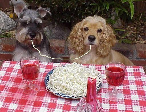 iti malias (@itimaliasof) on Twitter photo 