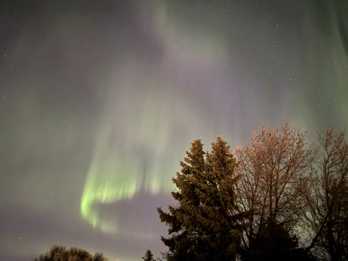 It was another amazing light show on May 3, 2025 between 3-4am.  It appears I caught a satellite overhead in the first picture. #northernlights #aurora #Auroraborealis #spaceweather #Bonnyville <a href="/BonnyvilleAB/">Town of Bonnyville</a> #NorthofExpected