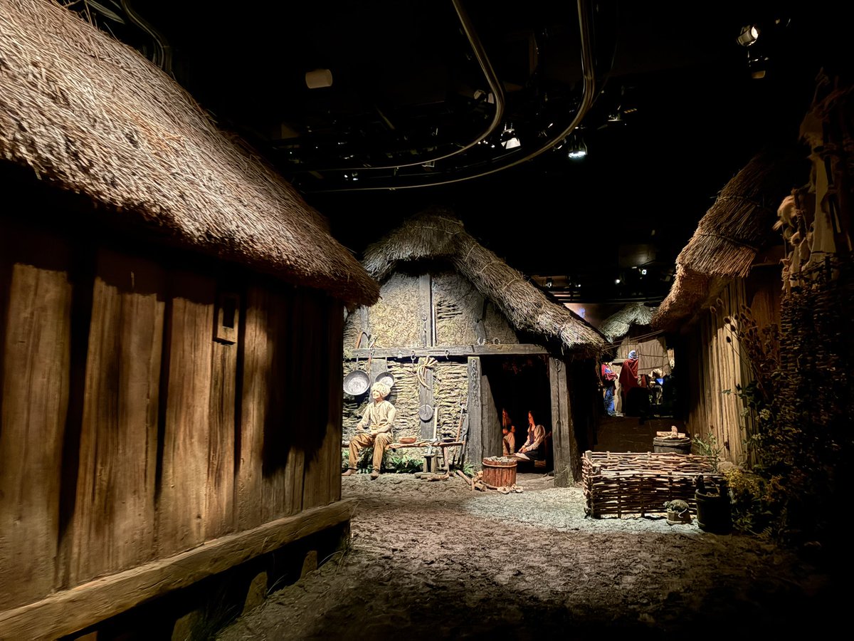 Tang Hall Owls tweet media