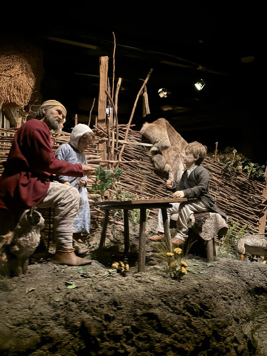 Tang Hall Owls tweet media