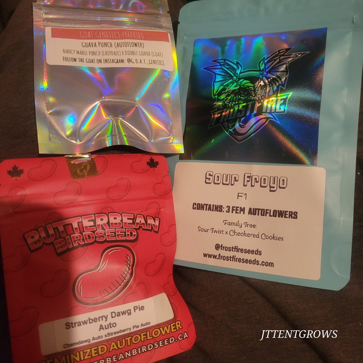 I'm shut down for now but going run some autos in my old setup at my younger bros ✌🏻🌱 frostfire/goat genetics/butterbean