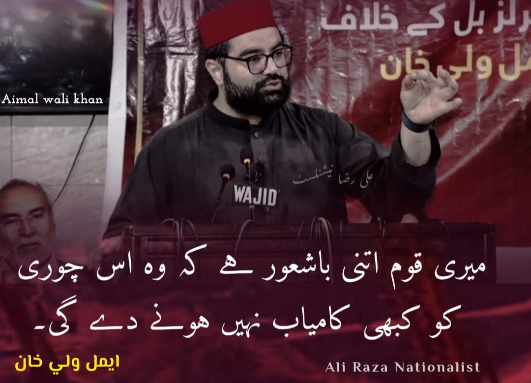 hilalzaman282's tweet photo. #حقوق_یا_آزادی
#ANP4ProvincialAutonomy | #ANP | #AimalWaliKhan |‌ @AimalWali @ANPMarkaz @MaulanaZeb @sannagulzar https://t.co/2Or5vzllHo