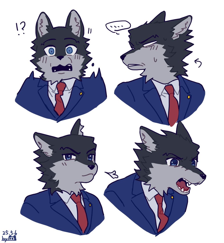 🐺🐺🐺🐺🐺