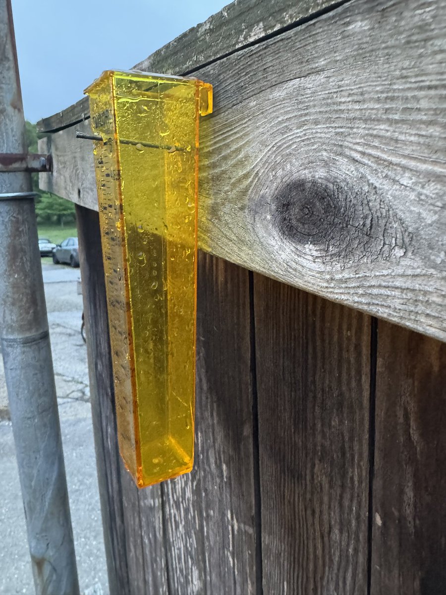 Robert Bowden Knapp tweet media