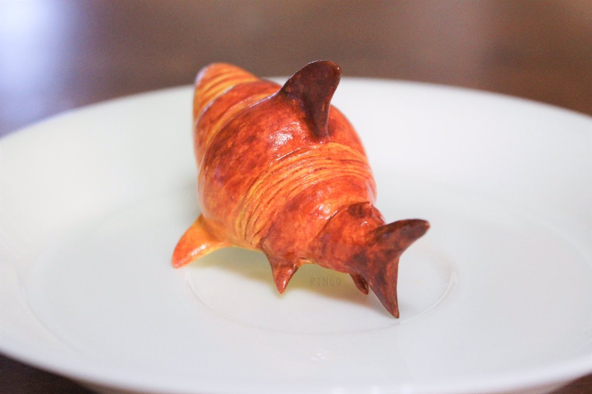 croisshark