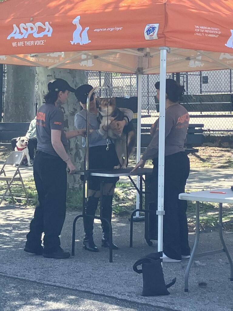 NYPDPSA1's tweet image. Our @NYPDDV officers partnered with @NYPD76Pct @NYPDCommAffairsPO Tirol for the annual @ASPCA event in @NYCParks Coffey Park @NYCHA Red Hook Houses. @NYPDHousing @NYPDPC @NYPD1stDep @NYPDnews @NYPDBklynSouth @NYPDHBBk
