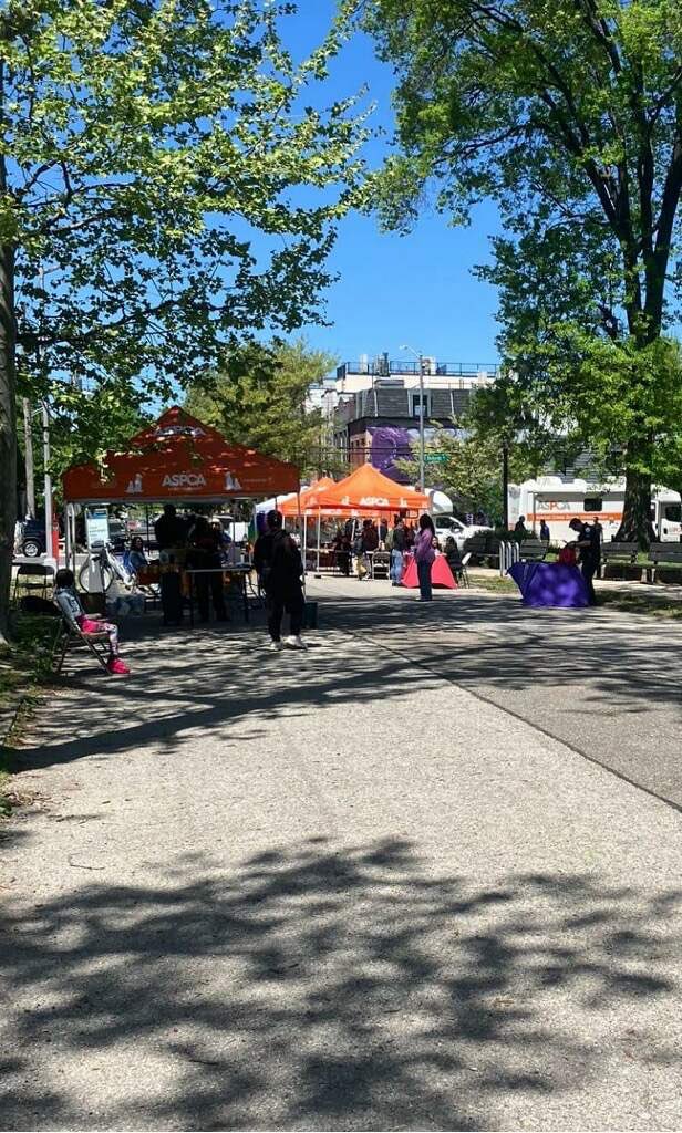 NYPDPSA1's tweet image. Our @NYPDDV officers partnered with @NYPD76Pct @NYPDCommAffairsPO Tirol for the annual @ASPCA event in @NYCParks Coffey Park @NYCHA Red Hook Houses. @NYPDHousing @NYPDPC @NYPD1stDep @NYPDnews @NYPDBklynSouth @NYPDHBBk