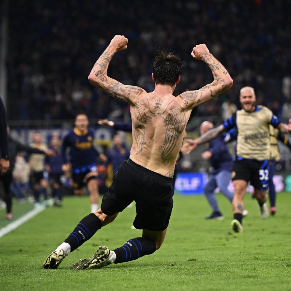 WONDER UNC. 🇮🇹🇮🇹🇮🇹