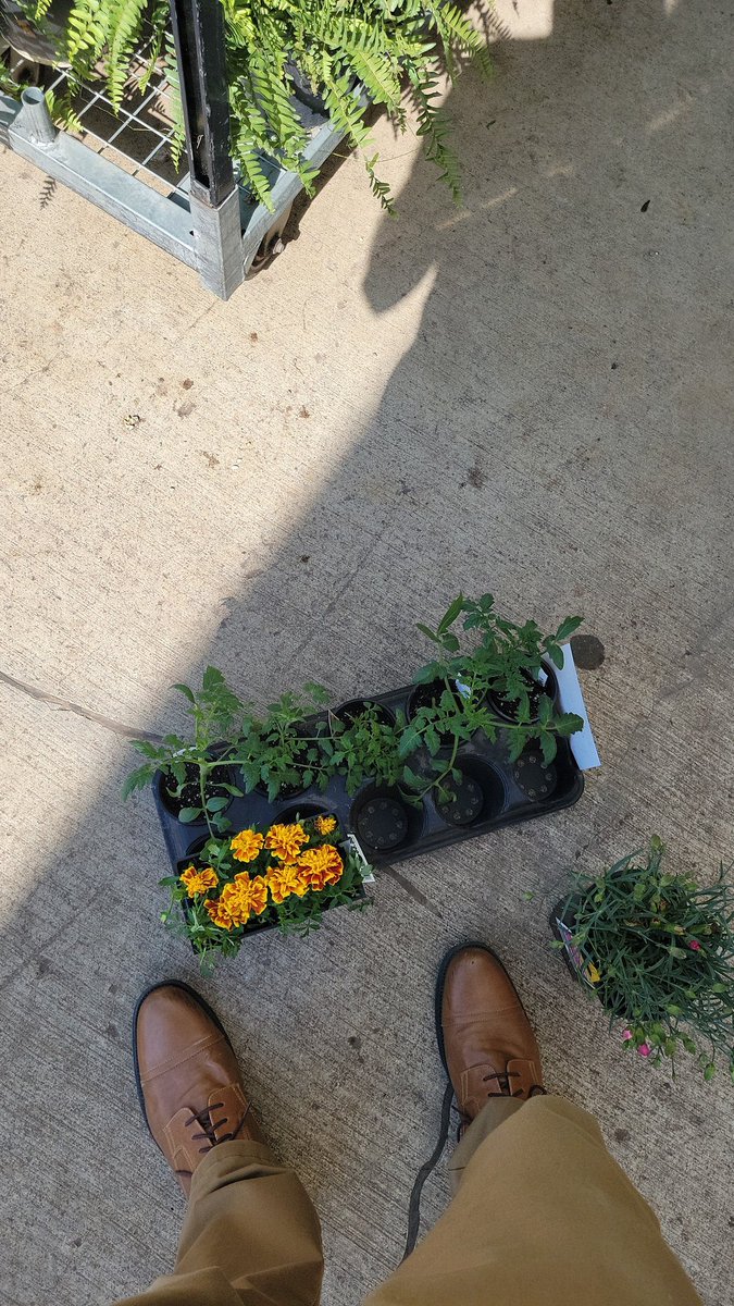 GoleyNathan's tweet photo. Dear @Lowes your garden checkout is slow ever year get it together! https://t.co/Zxv3Zar4gW