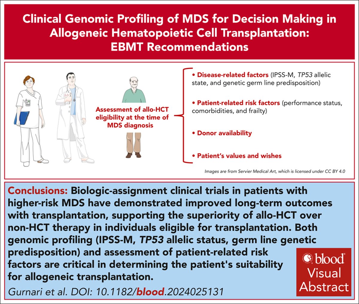 Blood Journals Portfolio tweet media