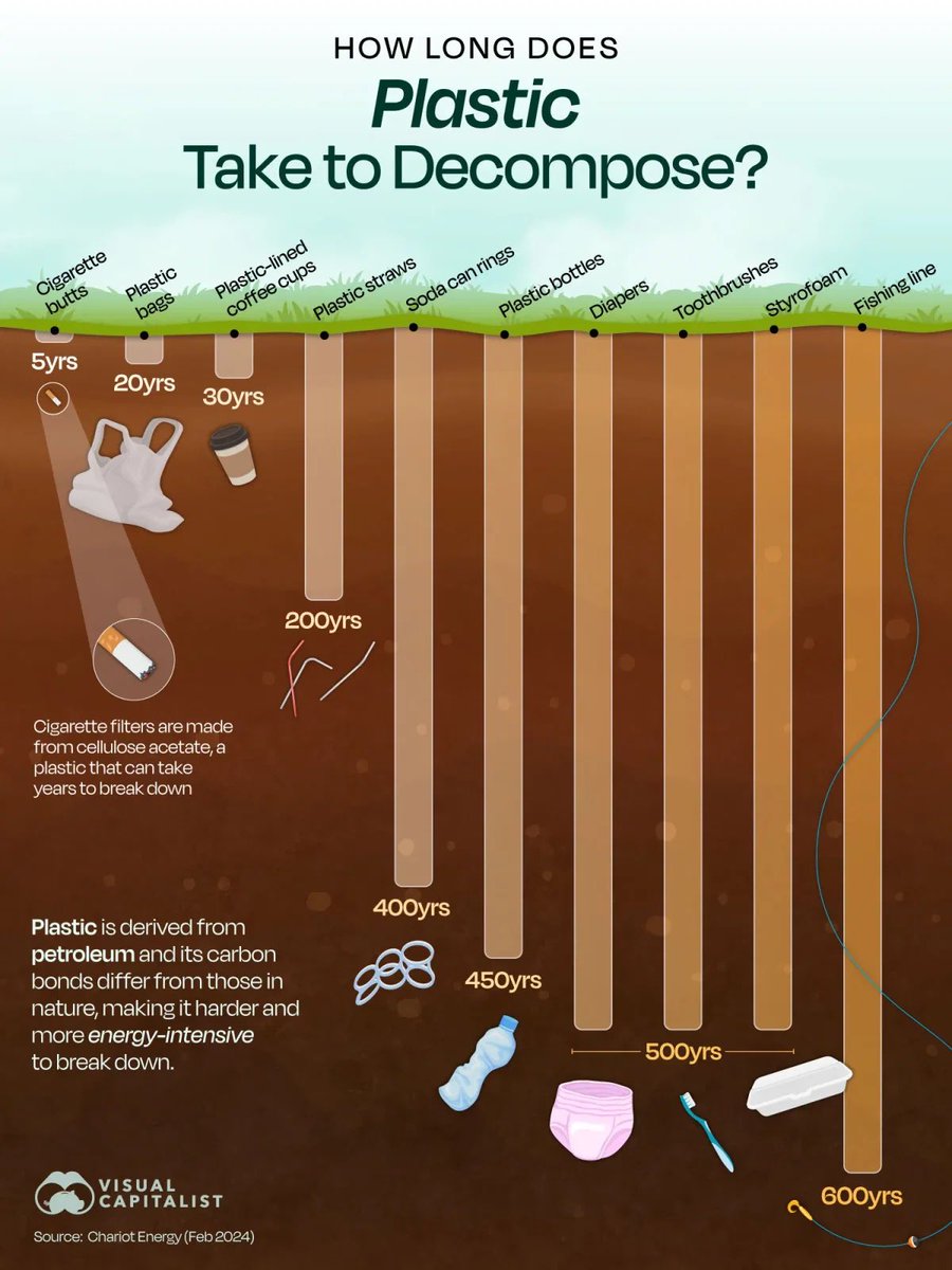 How Long Does Plastic Take to Decompose? 🪥

#PlasticFree
#BeatPlasticPollution
#SayNoToPlastic
#PlasticFreeFuture
#ZeroWasteLiving
#PlasticFreeOcean
#NoPlasticPlease
#EcoFriendlyLiving
#PlasticFreePlanet
#SaveTheTurtles
#RefuseSingleUse
#SustainableChoices
#EndPlasticWaste