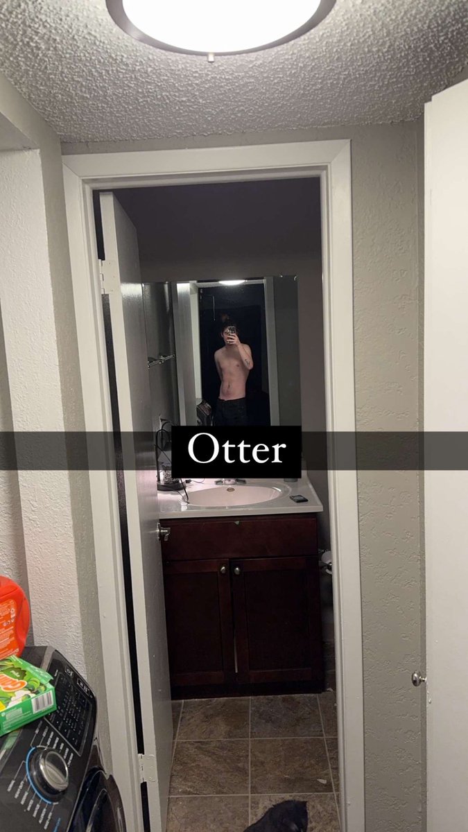 The Penguin tweet media