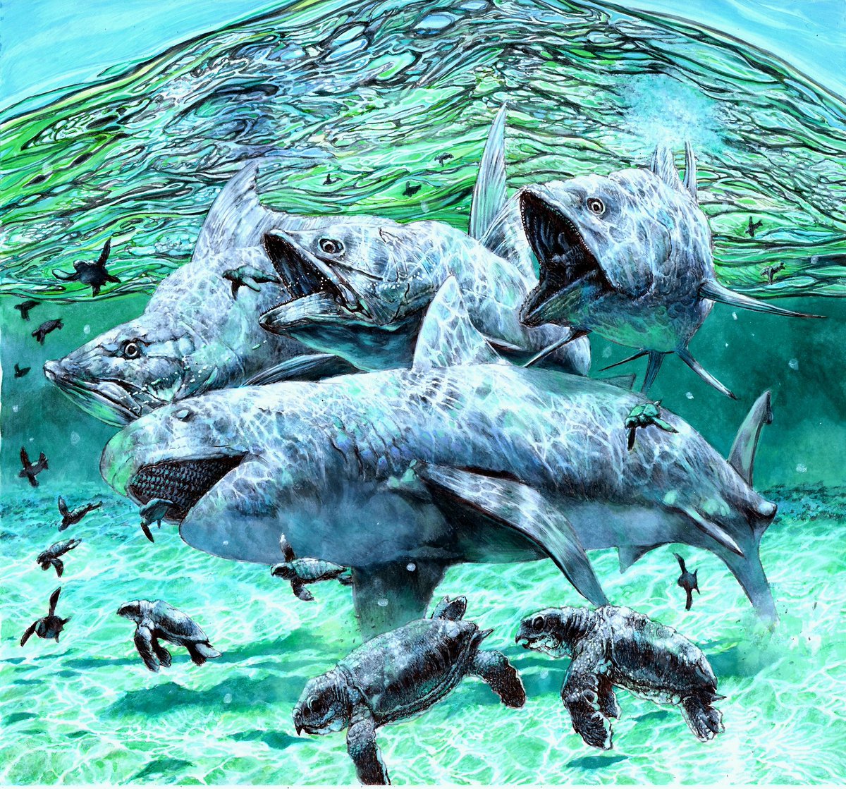 A young Ptychodus and trio of Pachyrhizodus enjoy a seasonal glut of Protostega hatchlings. 

My logic is that adult Ptychodus may have been too large to feed on little turtles but they would have been a useful periodic dietary supplement to juveniles. 

Quite happy with this.