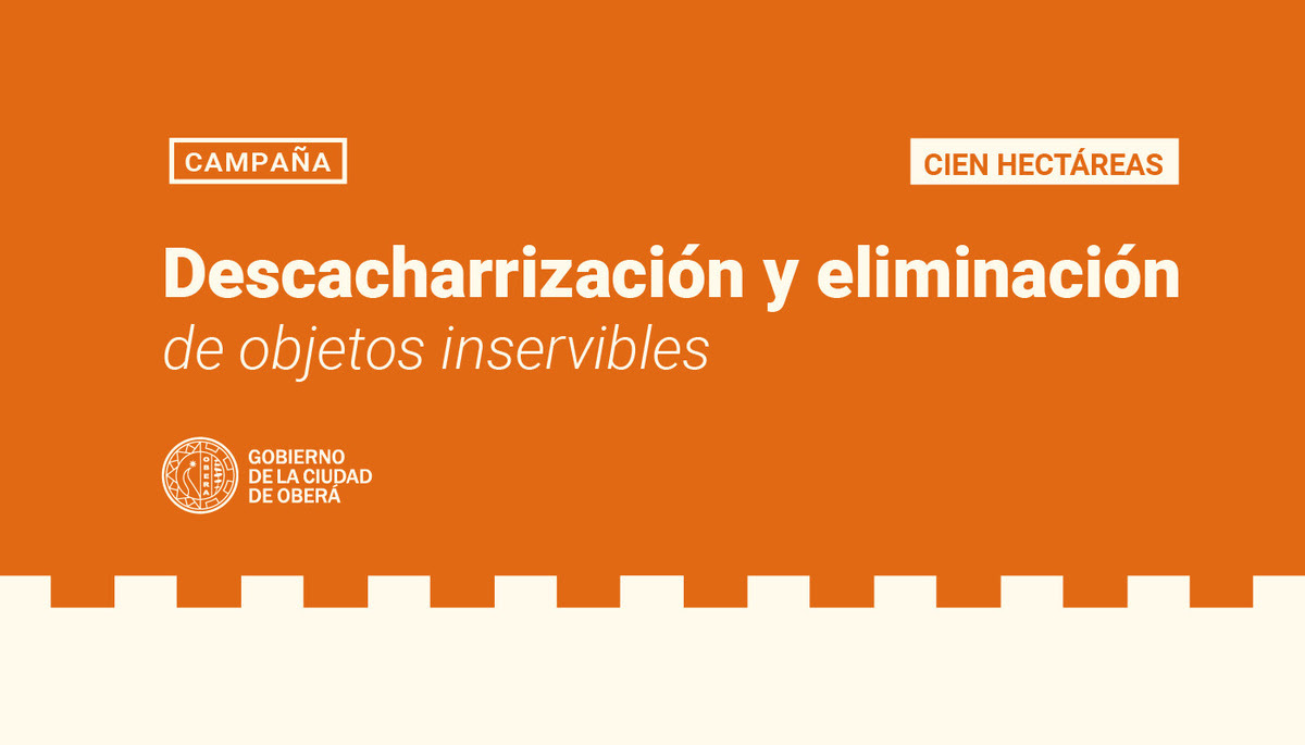 OberaInside's tweet photo. Descacharrización en el barrio Cien Hectáreashttps://oberainside.com.ar/?p=172236 https://t.co/rWwaIFXkrj