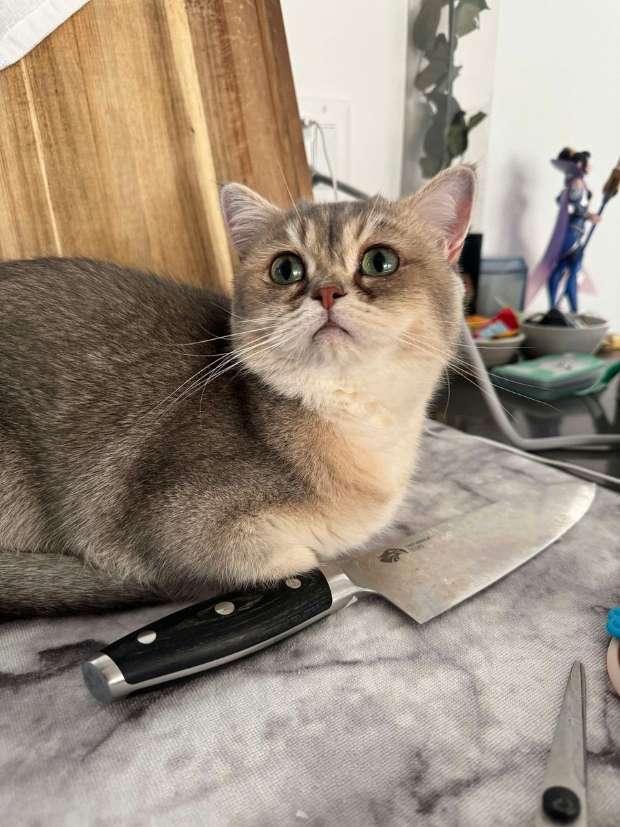 if you're someone who quit league - why'd you quit? 

asking for a friend meow