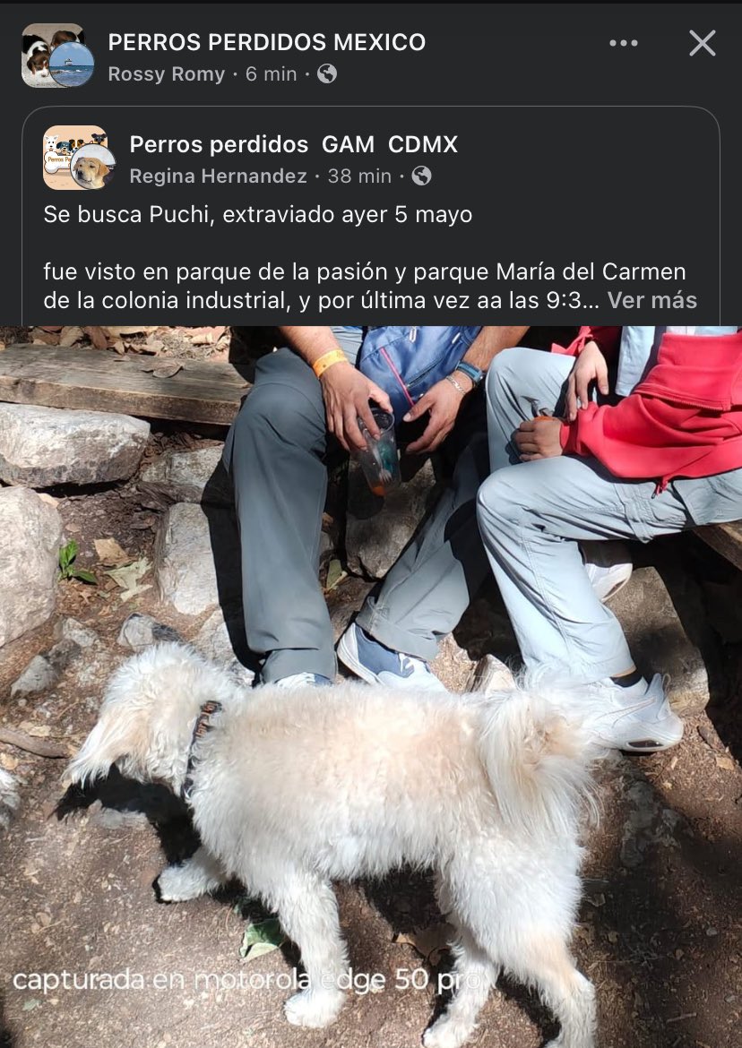 ⁦<a href="/paseoscaninosba/">Paseos Caninos Bosques de Aragón</a>⁩  ⁦<a href="/LindavistaUnida/">Lindavista Unida</a>⁩  ⁦<a href="/parque_lvista/">Parque Lindavista</a>⁩  ⁦<a href="/lindavistagpe/">Zona Linda Vista</a>⁩  ⁦<a href="/LindavistaV_GAM/">Lindavista Vallejo</a>⁩