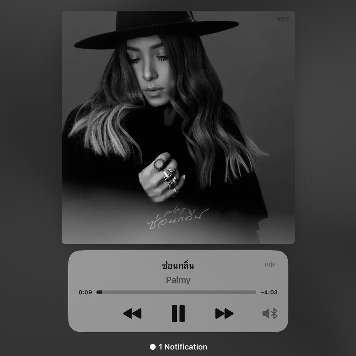 ซ่อนกลิ่น, ปาล์มมี่ — คือภาษาสวยมาก พี่มี่คิดได้ไง ชื่อดอกซ่อนกลิ่น แต่กลิ่นมันไม่ได้ซ่อน ค่อนข้างแรงและหอมมาก เปรียบกับรักครั้งเก่าที่ตอนนี้ได้แต่เก็บซ่อนความคิดถึงไว้ในใจ ยากจะลืมเลือนเพราะเป็นรักที่หอมตรึงใจเหมือนดอกซ่อนกลิ่น ซ่อนไว้ยังไงก็ยังคงได้กลิ่นเหมือนเคย 🍂