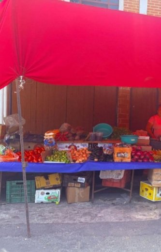 fernanda tweet media