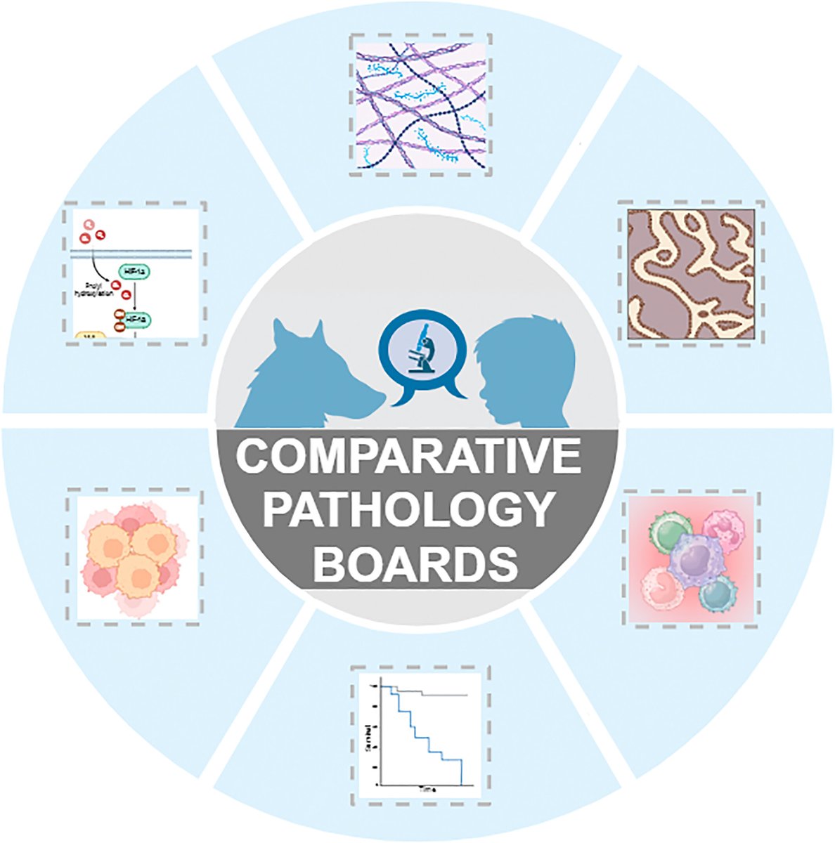 Brain Pathology (@brainpathol) on Twitter photo Comparative pathology boards facilitate the translation of knowledge between canine and human cancer patients
<a href="/DanielJBrat/">Daniel Brat, MD, PhD</a> <a href="/bitar_mireille/">Mireille Bitar, M.D.</a> <a href="/CraigHorbinski/">Craig Horbinski</a> <a href="/Sty_md/">Stephen Yip, MD/PhD FRCPC</a>
onlinelibrary.wiley.com/doi/full/10.11… Comparative pathology boards facilitate the translation of knowledge between canine and human cancer patients
<a href="/DanielJBrat/">Daniel Brat, MD, PhD</a> <a href="/bitar_mireille/">Mireille Bitar, M.D.</a> <a href="/CraigHorbinski/">Craig Horbinski</a> <a href="/Sty_md/">Stephen Yip, MD/PhD FRCPC</a>
onlinelibrary.wiley.com/doi/full/10.11…