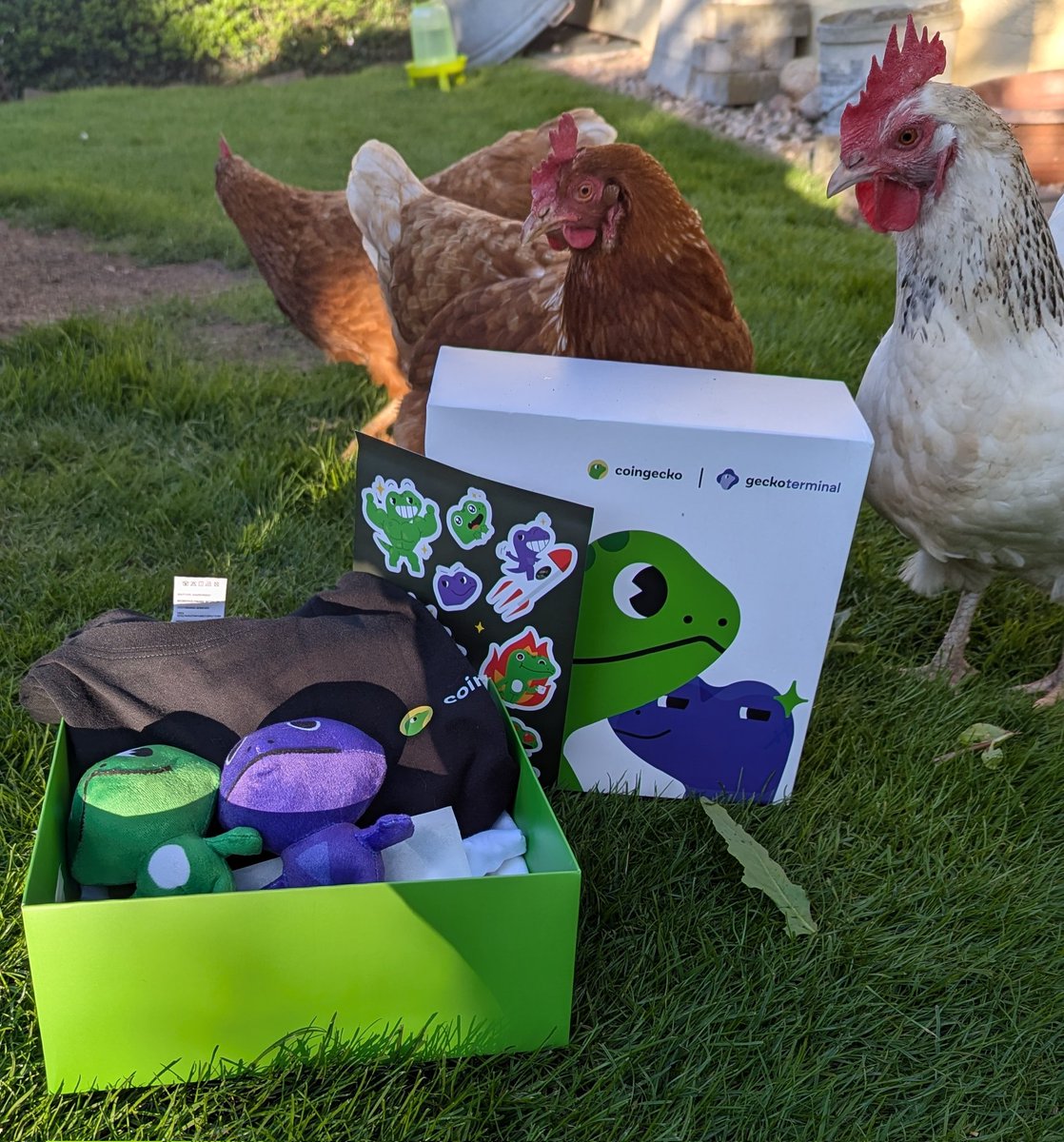 Thanks <a href="/coingecko/">CoinGecko</a> and <a href="/GeckoTerminal/">GeckoTerminal</a> for the swag pack! Happy 11th anniversary 🥳