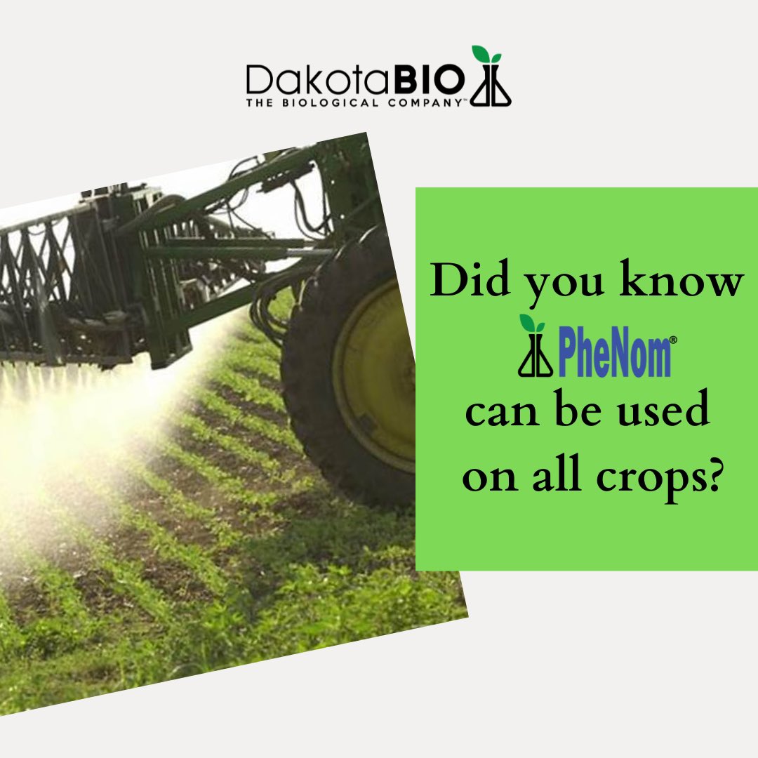 PheNom is the only dual action nitrogen fixing product in the industry. 

PheNom can be applied foliar or infurrow to increase your nitrogen supply all season long.

+5.1 bpa on corn in 5 years of independent testing

+2.4 bpa on soy in 6 years of independent testing

833-DAKOTAB