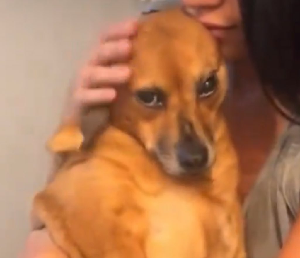 ArainhaDoGelo's tweet image. Pior presepada que inventei na vida foi ser fã da Rihanna. Puta que pariu,maldito dia que ouvi Umbrella pela primeira vez.