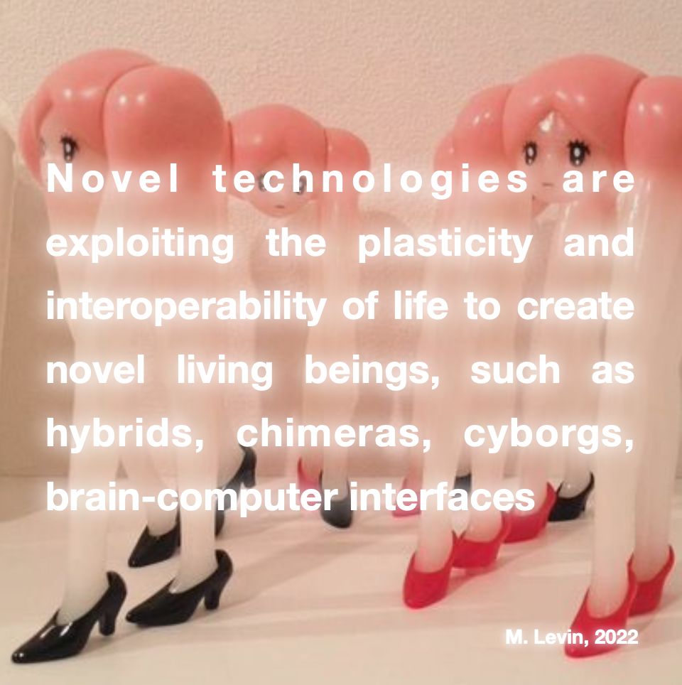 paulette_fs's tweet image. #science #michaellevin #scifiart