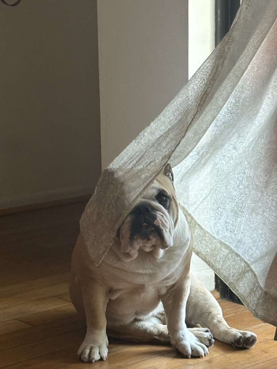 Georgia Joyce Smith tweet media