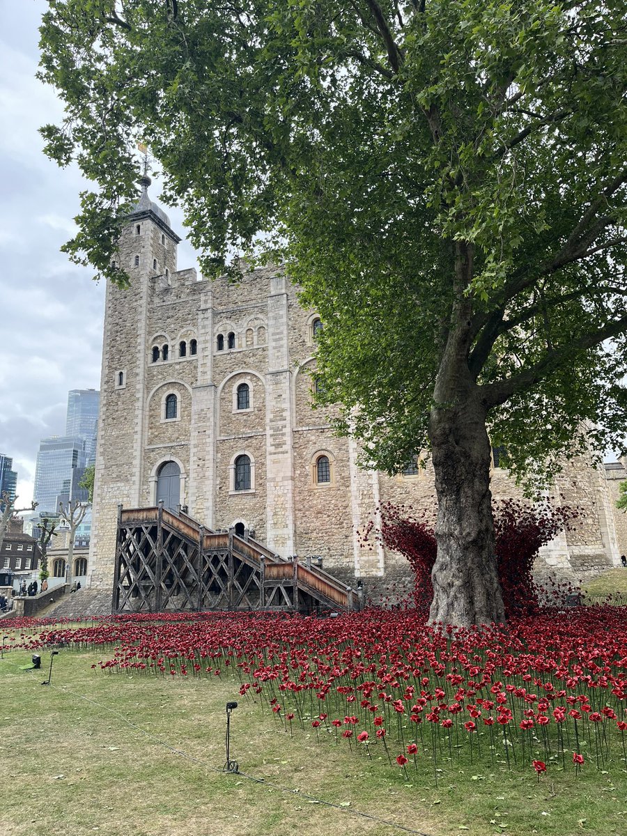Tracy Borman OBE (@tracyborman) on Twitter photo Just waiting to go live on <a href="/bbclondon/">bbclondon</a> to talk about the new poppies installation at <a href="/TowerOfLondon/">The Tower of London</a> <a href="/HRP_palaces/">Historic Royal Palaces</a> #VEDay80 Just waiting to go live on <a href="/bbclondon/">bbclondon</a> to talk about the new poppies installation at <a href="/TowerOfLondon/">The Tower of London</a> <a href="/HRP_palaces/">Historic Royal Palaces</a> #VEDay80