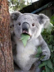 When you come back from paternity leave and they’ve replaced the entire SaaS suite with agentic AI