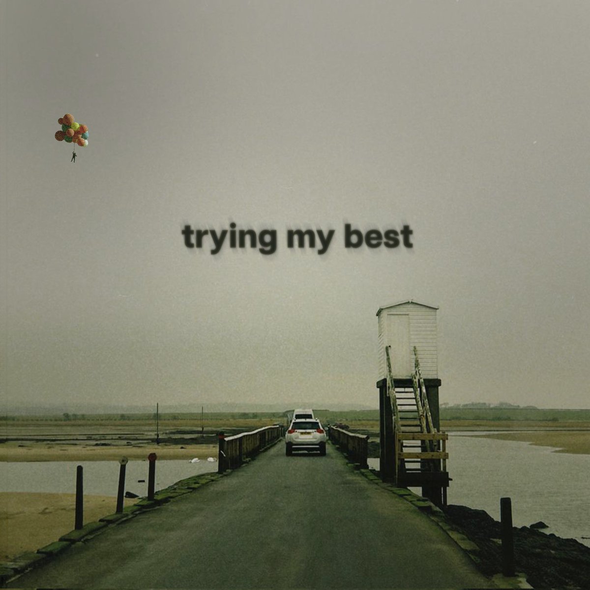 New single 'Trying My Best' Out THIS FRIDAY

Pre save now: distrokid.com/hyperfollow/m6…