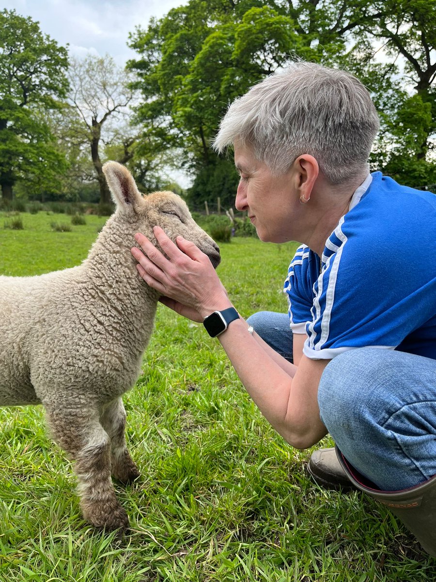 CRedrobe's tweet photo. @charliersmith1 Sorry to hear you’re unwell and in hospital. Hope this lamb giving me some love distracts you a bit. Hope you know that you do a lot of good for a lot of people on here with your inspirational park runs and positive messages. https://t.co/77rzGCLUDC